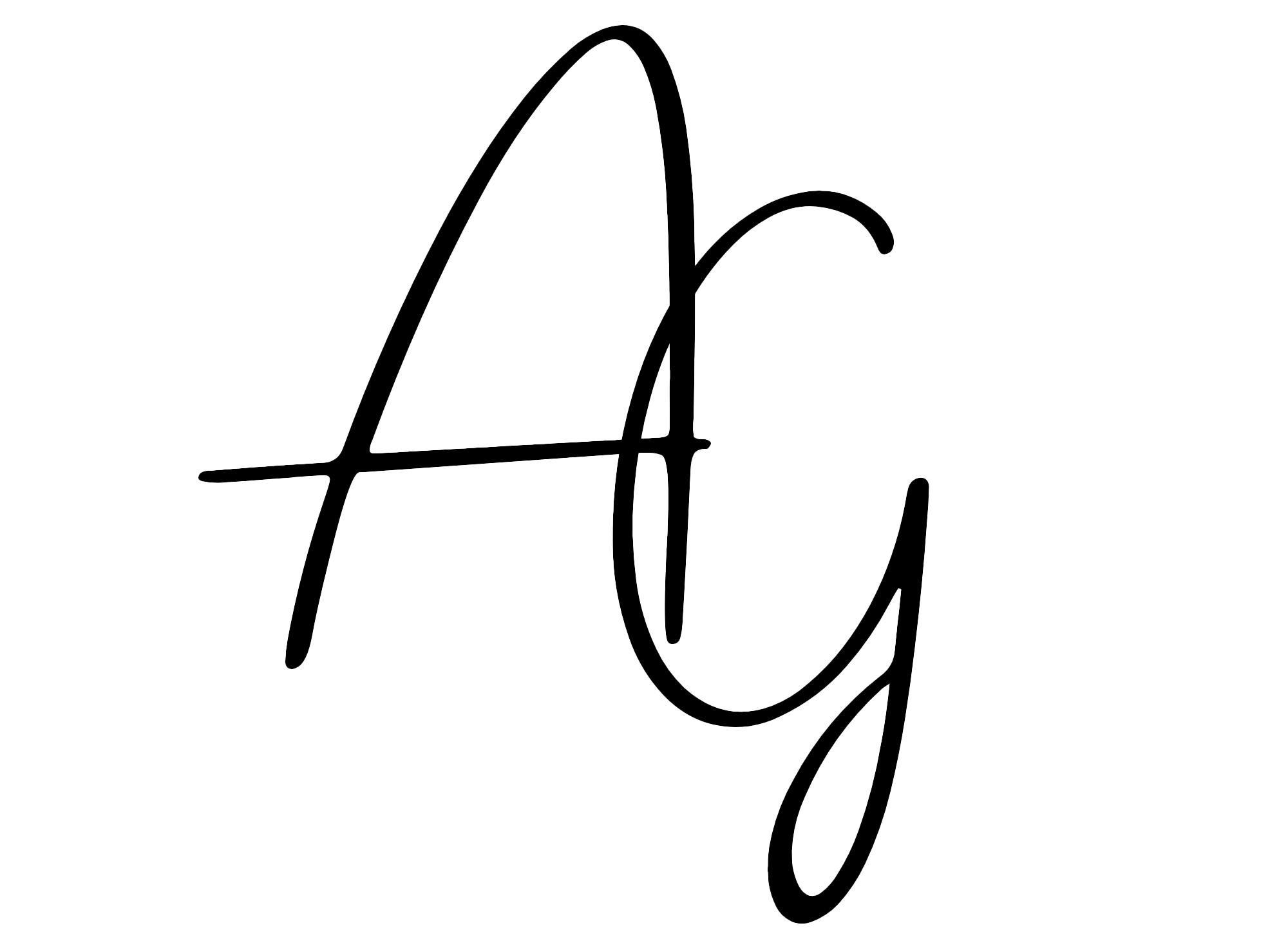 Aleksanda Górna Fotografia Ślubna